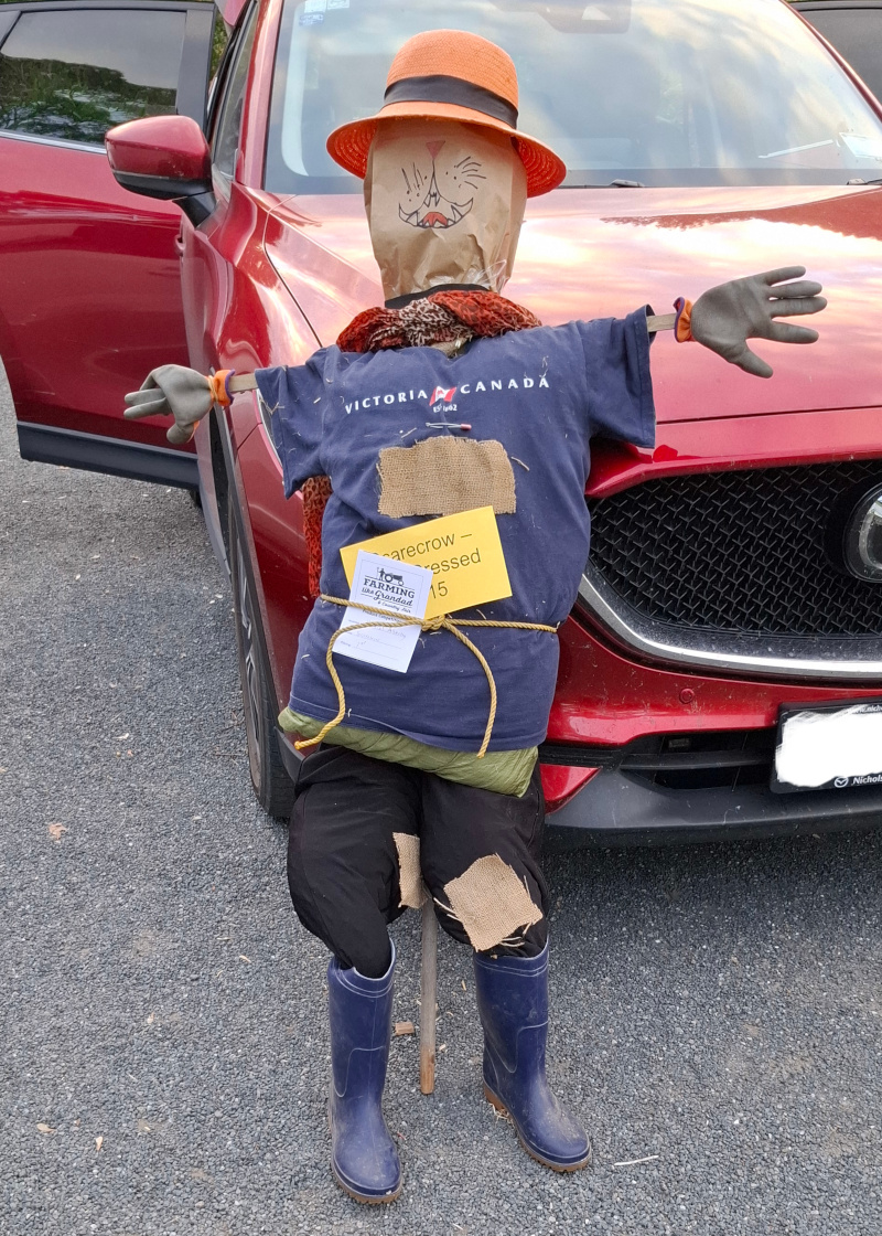 Winner, best dressed scarecrow Farming like grandad 2025 photo 30