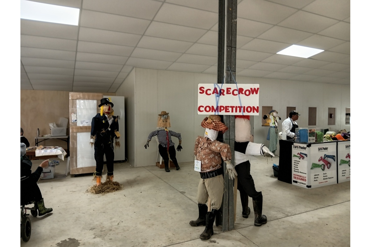 Some of the scarecrow competitors
